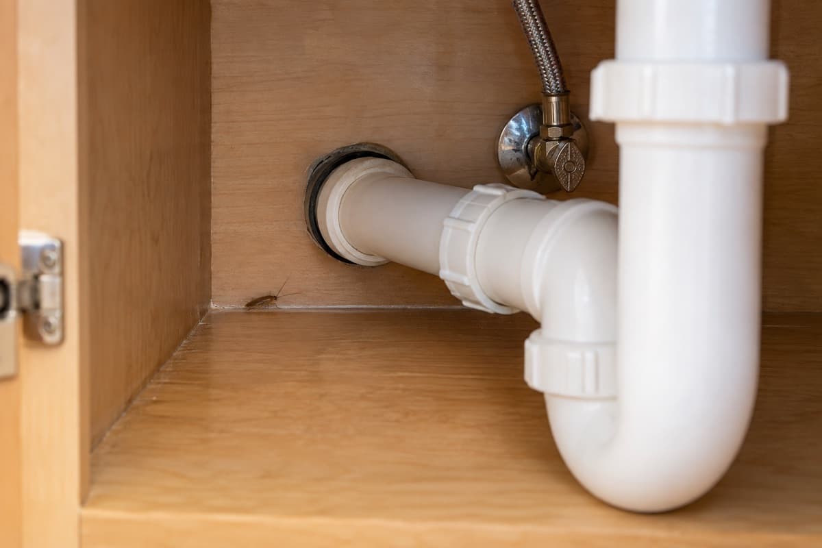 A thin line of boric acid dust inside an open kitchen sink cabinet, with a cockroach near the back wall