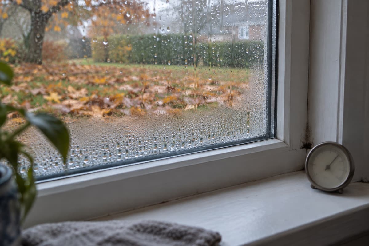 Condensation on a window on a rainy autumn day, with mildew starting in the frame corner and wet leaves outside